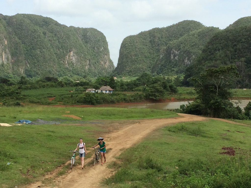 Vinales