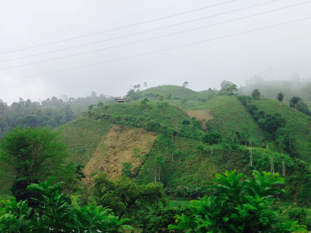 Not that the photo does the lush landscape any justice, but how can this view not thrill your heart?