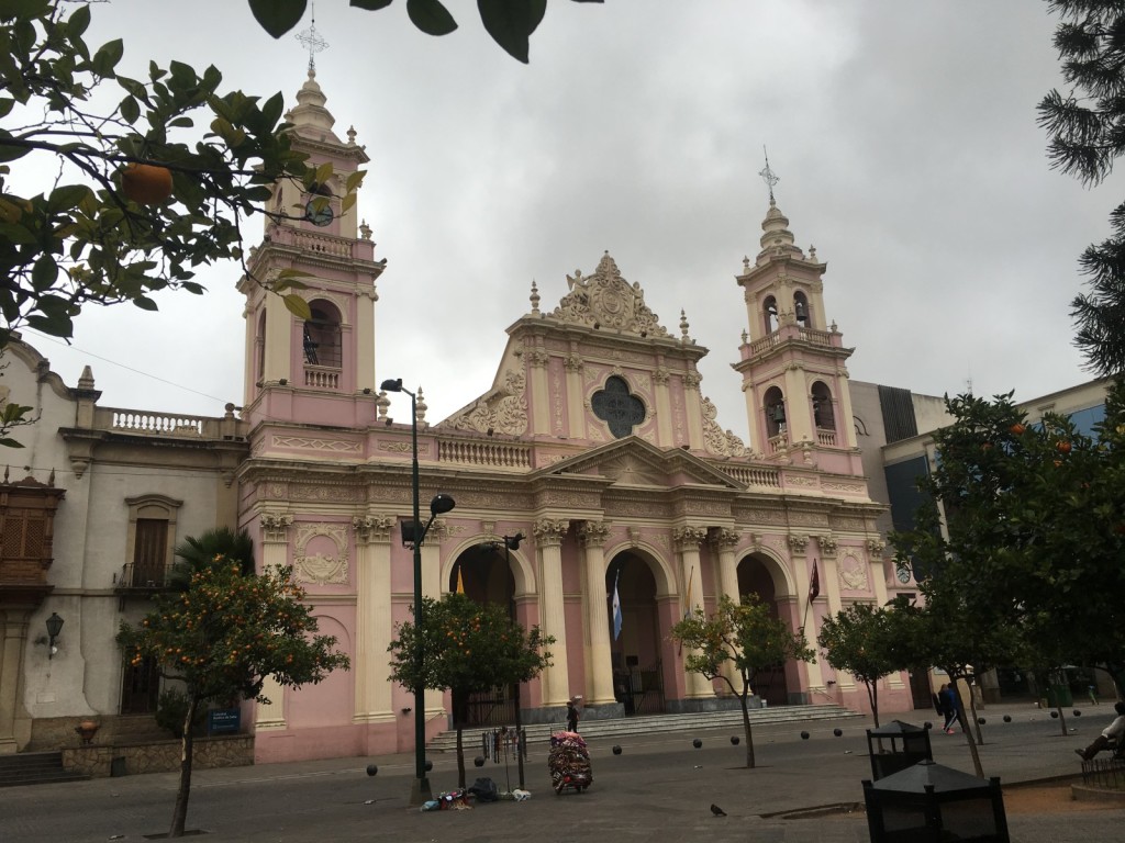 I wondered why no one was eating the oranges lining Plaza 9 de Julio.